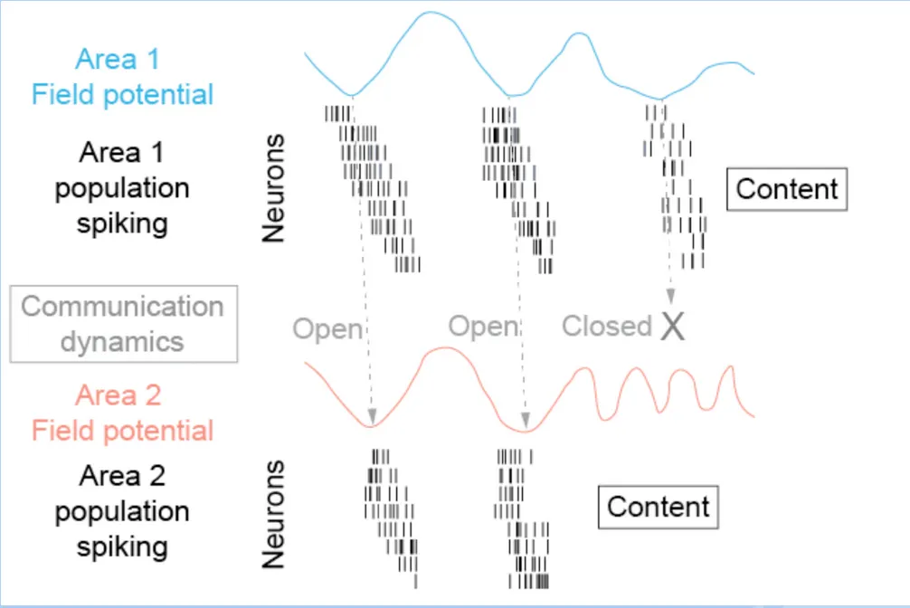 Communication through Coherence Image